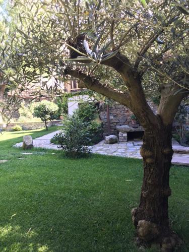 Belvedere Langhe Resort | Number 10 Locanda B&B