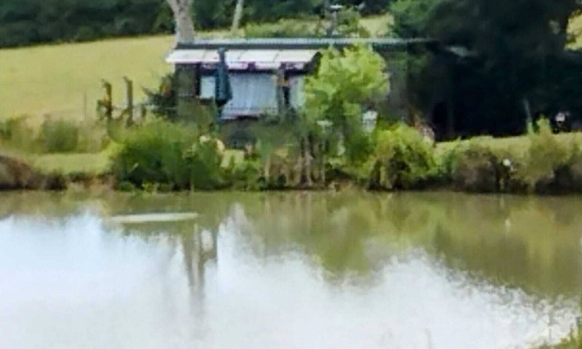 Hadlow Down Apartment | Peaceful en-suite cabin all mod cons. Close to and overlooking our fishing lake.