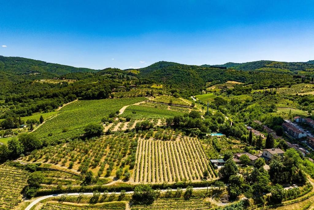 Greve in Chianti House | Podere Campriano Winery Adult only