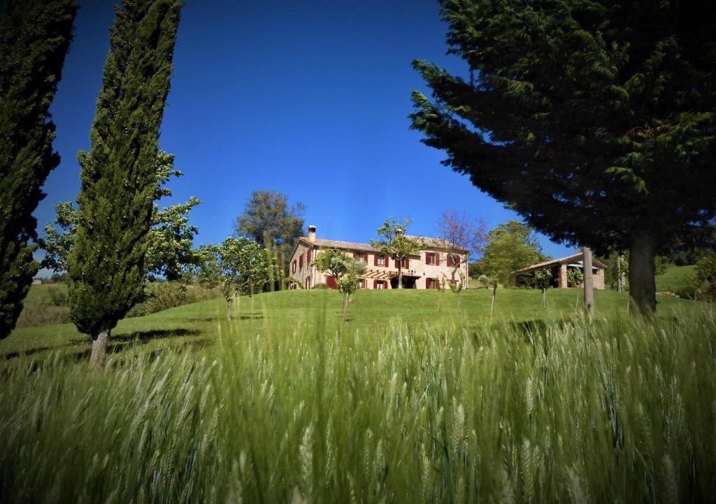 Cupramontana Bed & Breakfast | Quelli del Picchio