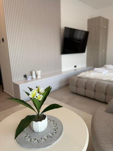 Subotica Apartment | Raj