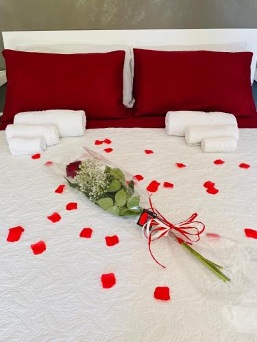Casalaccio House | Room24 Relax & Wellness