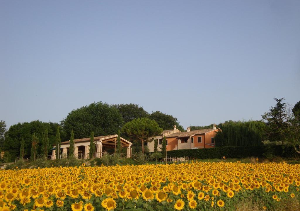 Ancona House | Rustico del Conero