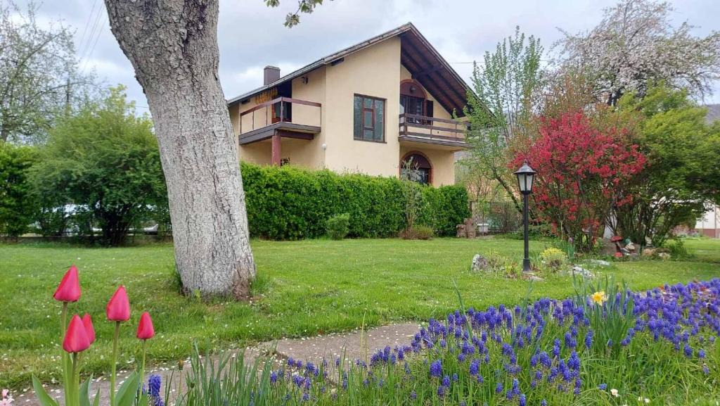 Bajina Basta Apartment | Saint Nicolas Bajina Bašta