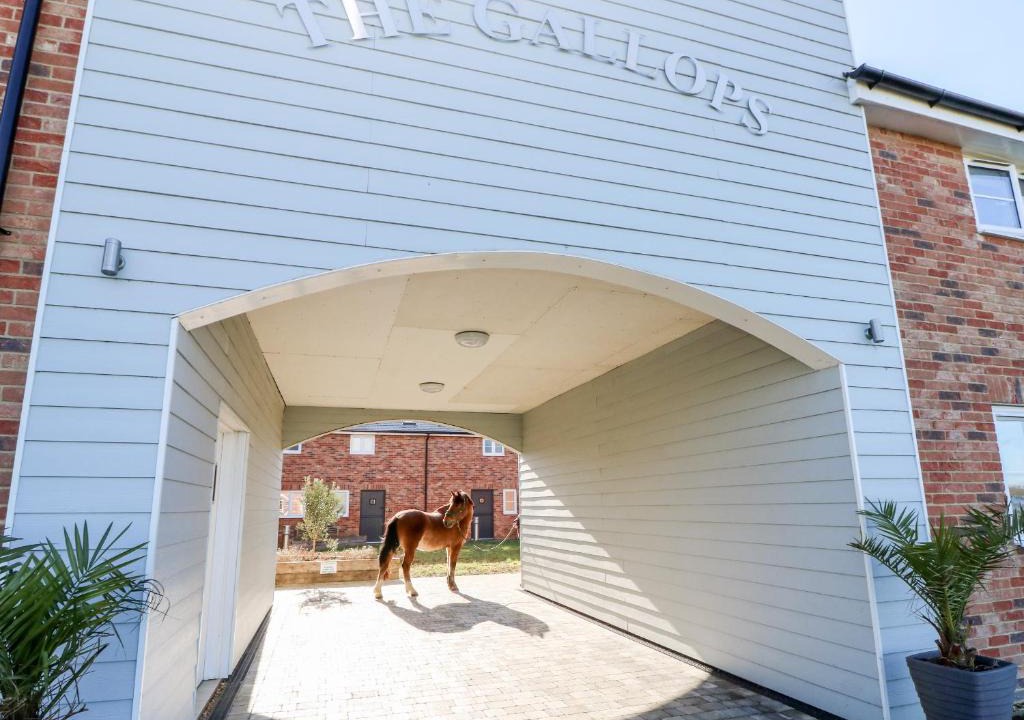 Newport House | Seabiscuit