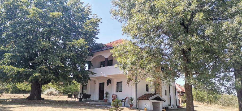 Mladenovac House | Sopot Paradise