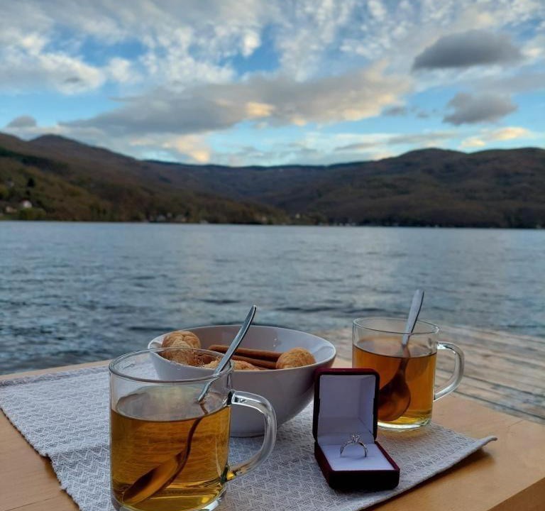 Bajina Basta Apartment | Splav Wake at the lake