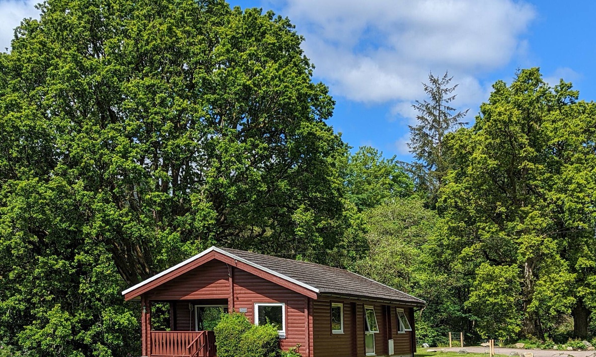 Rashfield Cabin | Stylish, Comfy & Cosy log cabin in National Park, dogs & families welcome!