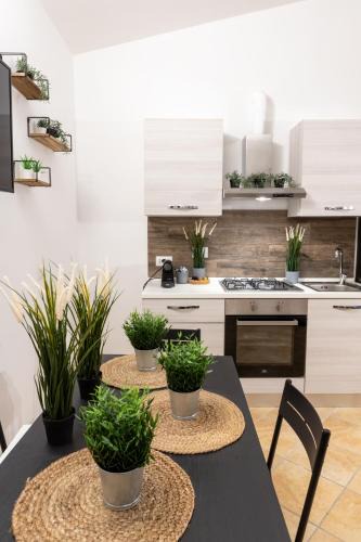 Monte Compatri House | Suite Gli Ulivi