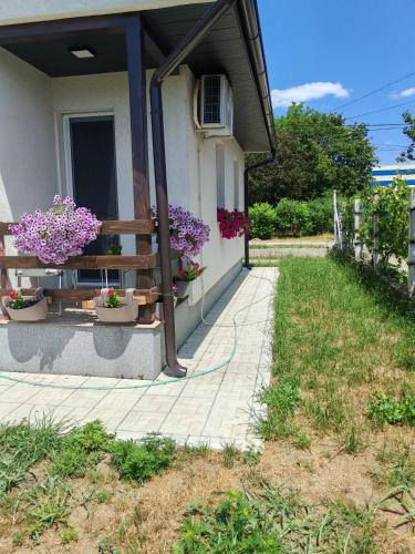 Stari Banovci House | Sveti Luka- OBRADOVIĆ SOKAK 41
