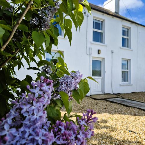 Dromore House | The Alpaca Farmhouse with hot tub and alpaca experience included