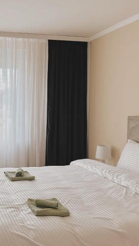 Becej Apartment | The Central Nest