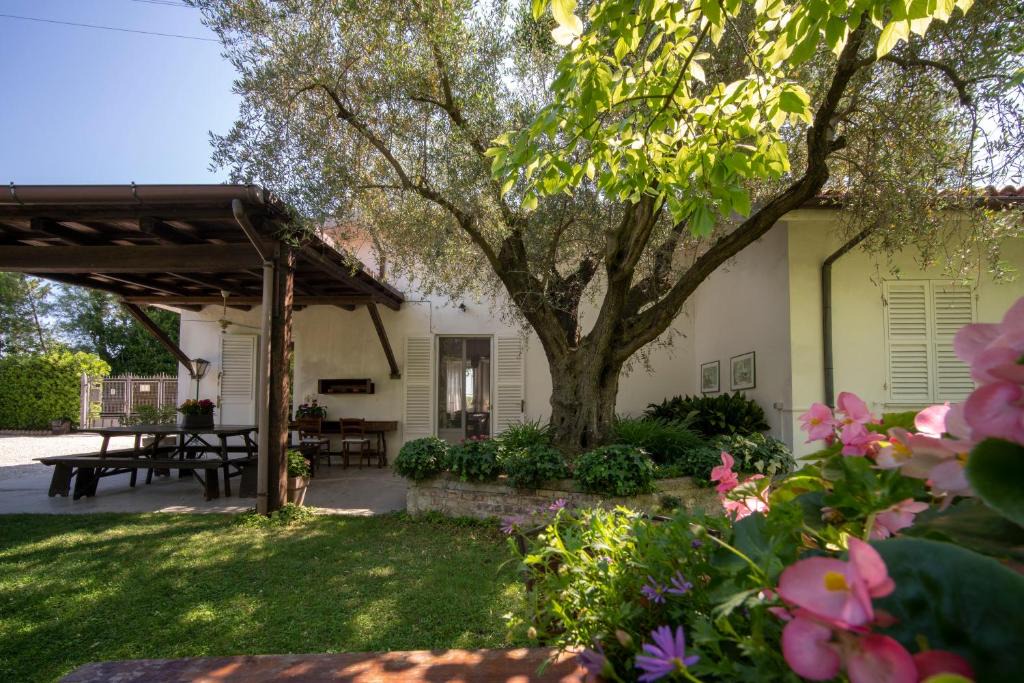 Senigallia Bed & Breakfast | Trecentolivi B&b