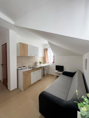 Brzece Apartment | Vila Aurora Gondola Kopaonik, 50m od Gondole Brzece