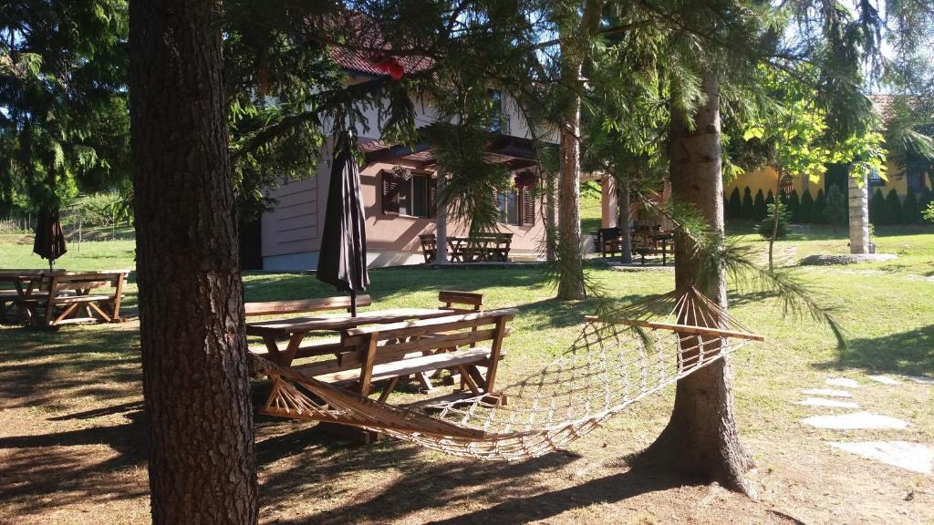 Petrovaradin Bed & Breakfast | Vila Davidovic-Fruska gora