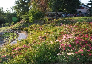 Agriturismo Angolo di Paradiso. JUNO