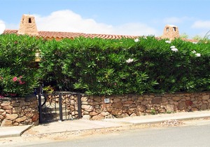 Agrustos villa 400 meters from the sea