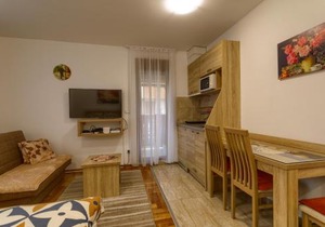 Apartman Gavrilov 2