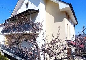 Apartmani HRAST Sokobanja
