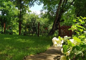 Apartmani Smiljanic Sokobanja