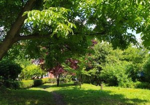 Apartmani Smiljanic Sokobanja