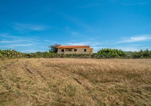 Apartment Ananas 1 C by Interhome