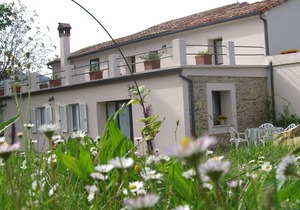 Apartment in a winery in the countryside with pool and breathtaking view