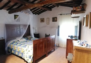 Apartment in farmhouse in 1500 in Tuscany in Chianti with private lake