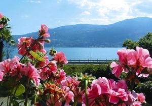Apartment in Verbania