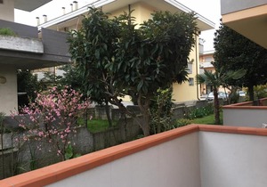AppartamentoAlba