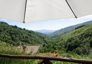 Borgo dei Corsi - LAMPO 2 Apartment