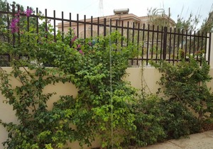 Casa Alla Guitgia