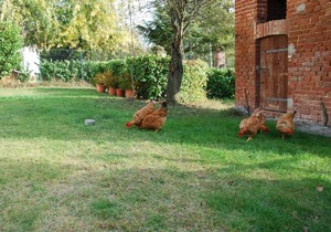 Cascina Bricchetto