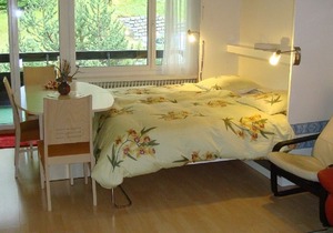Cozy 2.5 room holiday apartment *** indoor swimming pool sauna, not far from pure nature.