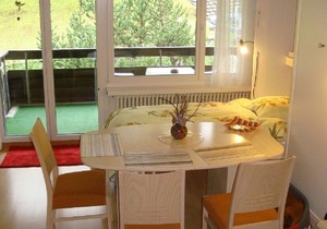 Cozy 2.5 room holiday apartment *** indoor swimming pool sauna, not far from pure nature.