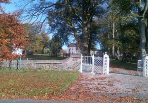 Dundrum House - Family Room