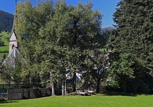 Holiday apartment Sarnthein (Sarentino) for 1 - 4 persons with 2 bedrooms - Holiday apartment