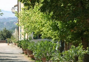 Holiday apartment Poggibonsi for 1 - 4 persons with 2 bedrooms - Holiday apartment