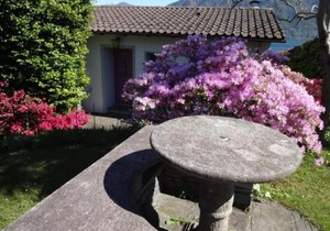 Holiday house Minusio for 1 - 4 persons with 2 bedrooms - Holiday house
