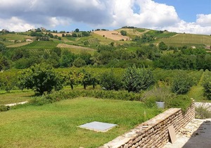Homerez - Appartement for 4 ppl. with shared pool at Montalto delle Marche