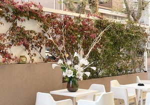 Hotel Little