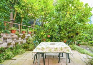 House with garden