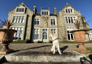 Ivy Courtyard Apartment on Blessingbourne Country Estate