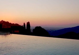 Organic vineyards and olive groves - BOSCO & ROSE apartments