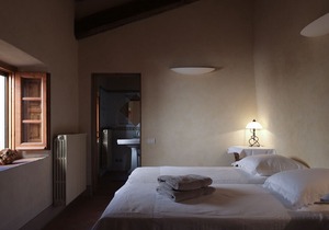 Organic vineyards and olive groves - BOSCO & ROSE apartments