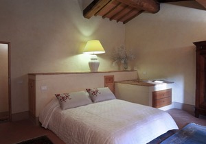 Organic vineyards and olive groves - BOSCO & ROSE apartments