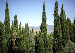 Panoramic-view Villa in Tuscany with Private Swimming Pool