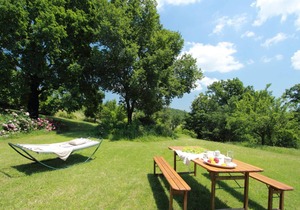 Pretty Holiday Home in Acqualagna with Swimming Pool