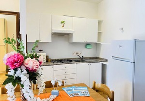 Spacious apartment with large balcony