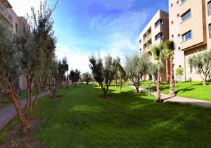 Studio Hotel junior + 17